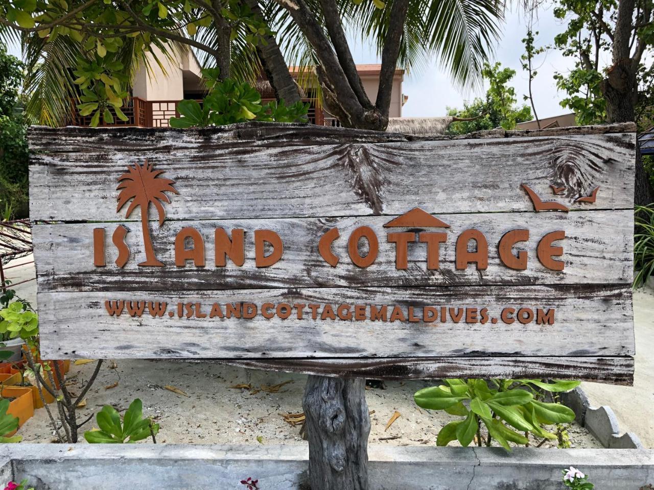 Island Cottage Maafushi Kültér fotó
